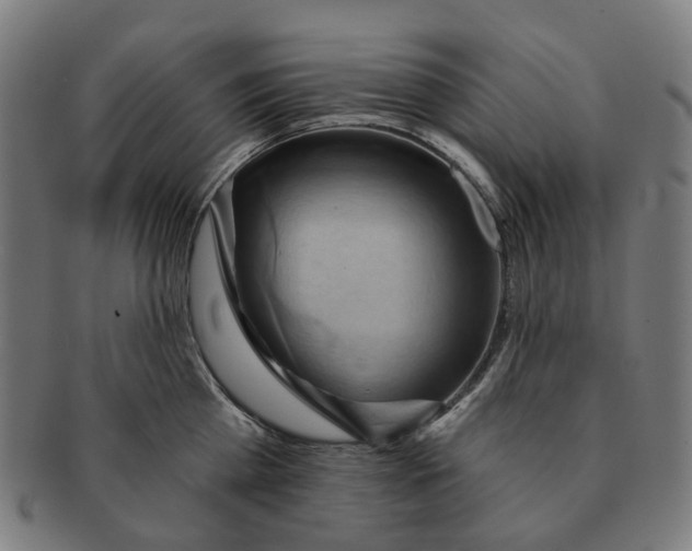 X0000090980809200708301247