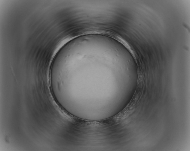 X0000090980811200708301247