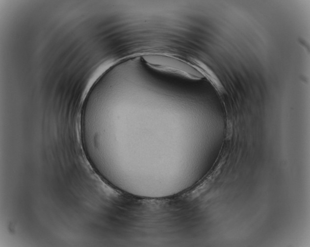 X0000090980812200708301247