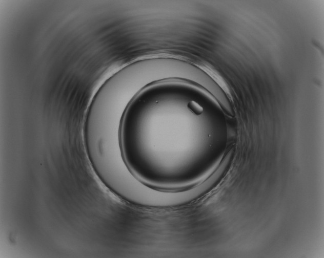 X0000090980813200708301247
