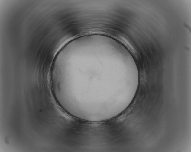 X0000090980814200708301247