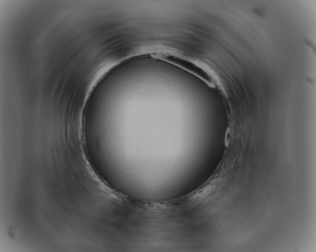 X0000090980815200708301247