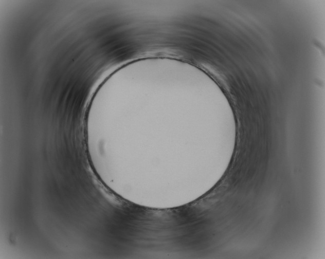 X0000090980816200708301247
