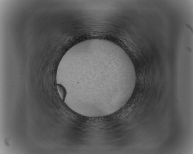 X0000090980817200708301247