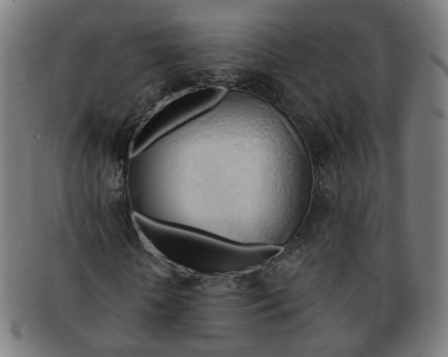 X0000090980818200708301247