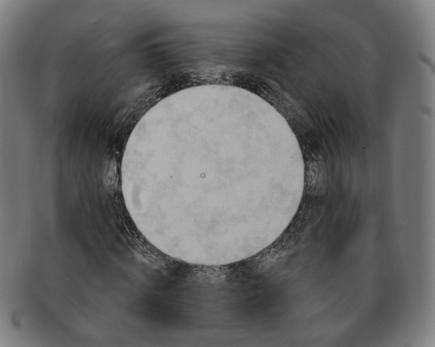 X0000090980820200708301247