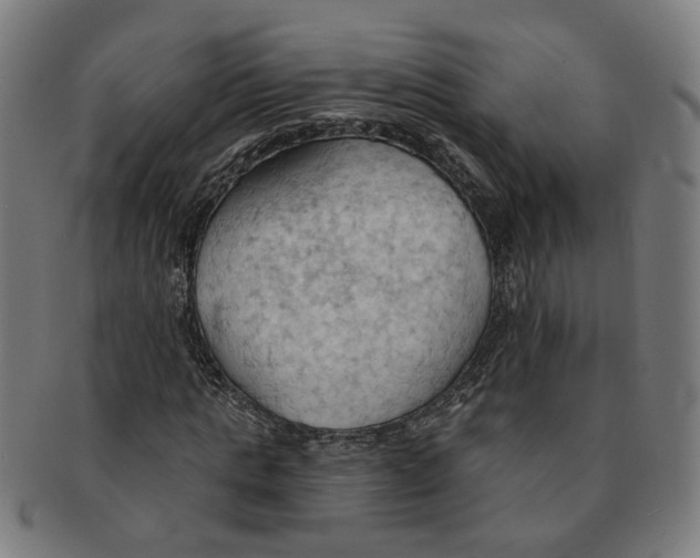 X0000090980821200708301247
