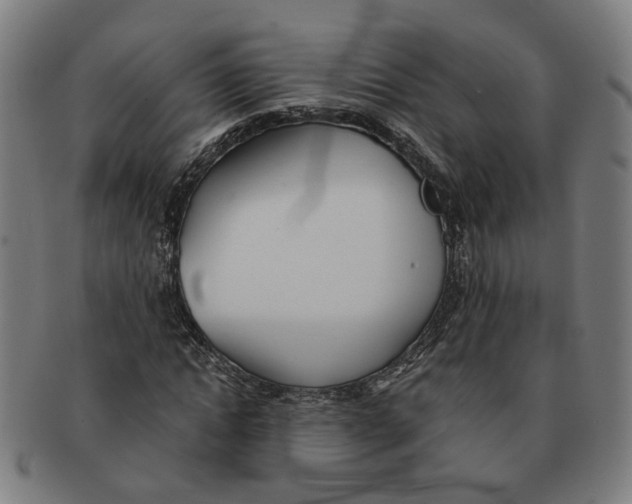 X0000090980822200708301247