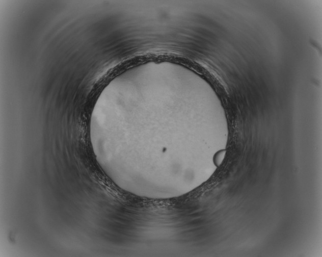 X0000090980823200708301247