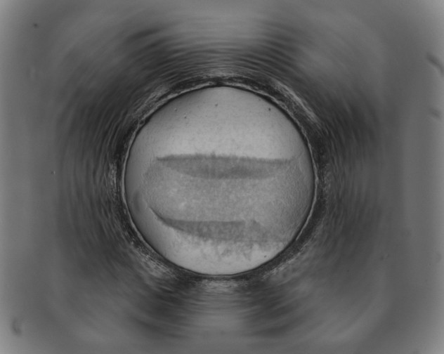 X0000090980825200708301247