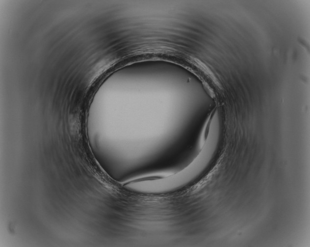 X0000090980826200708301247