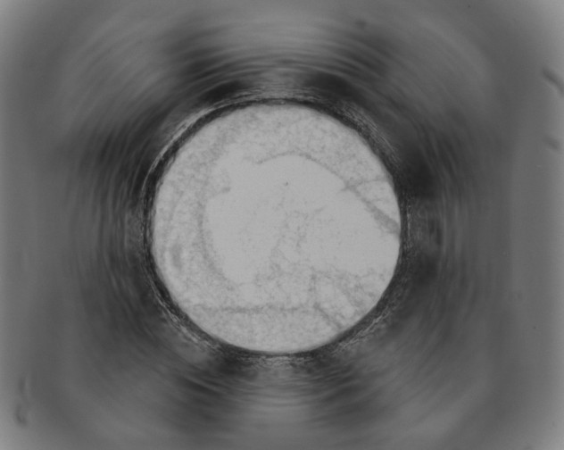 X0000090980828200708301247
