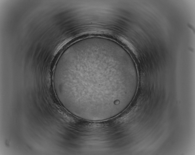 X0000090980829200708301247