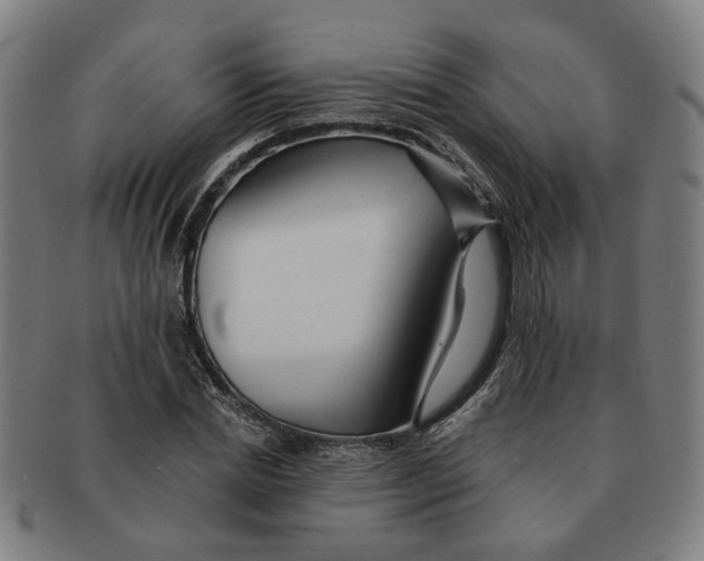 X0000090980830200708301247