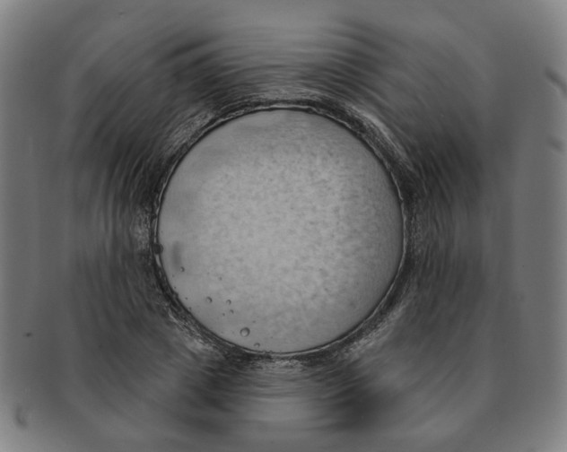 X0000090980833200708301247
