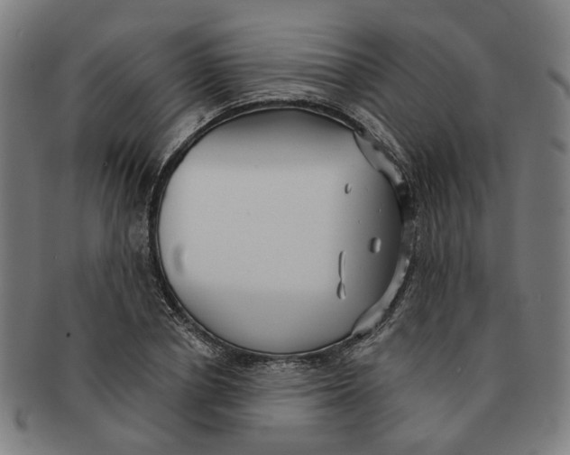 X0000090980834200708301247