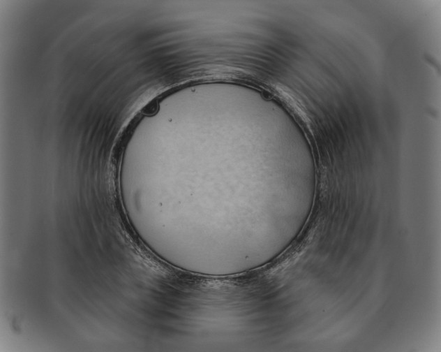 X0000090980835200708301247