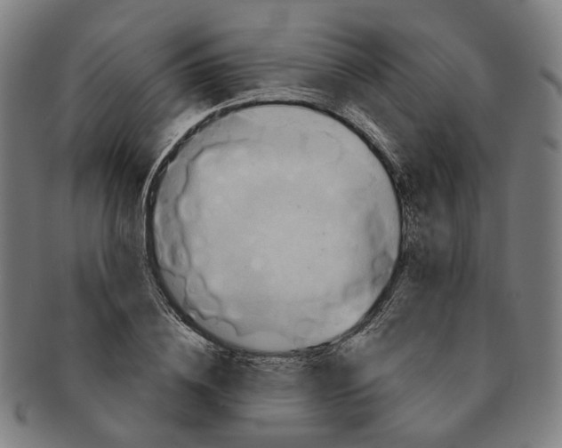 X0000090980836200708301247