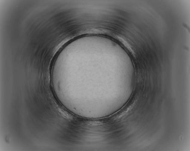 X0000090980837200708301247