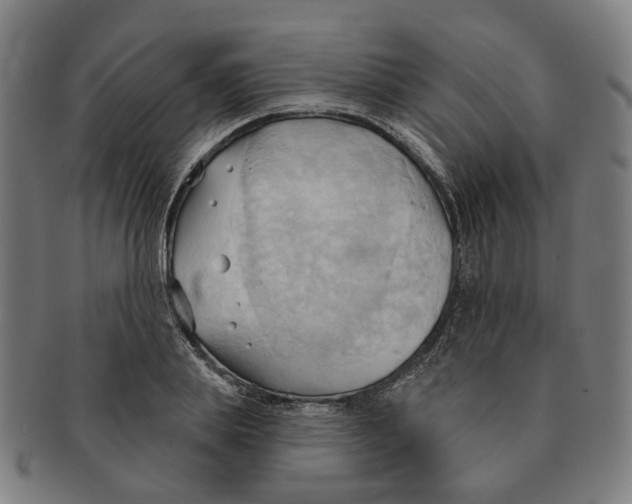 X0000090980839200708301247