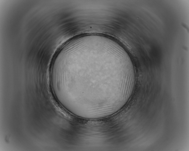 X0000090980840200708301247