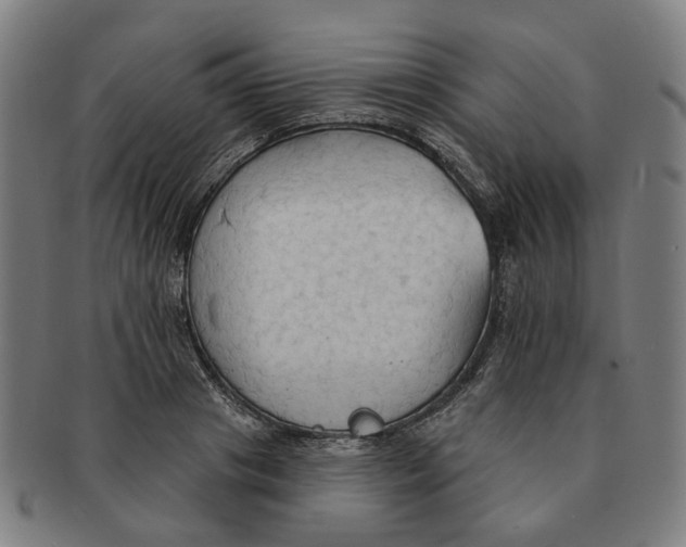 X0000090980841200708301247