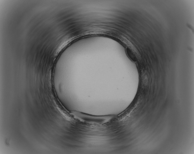 X0000090980842200708301247