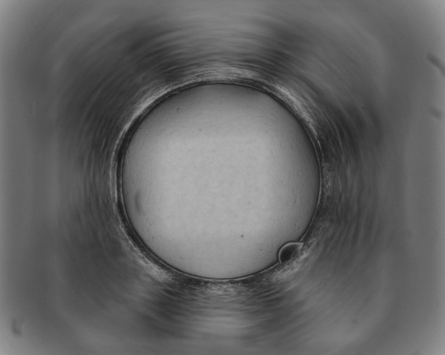 X0000090980843200708301247