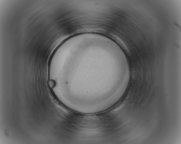 X0000090980844200708301247