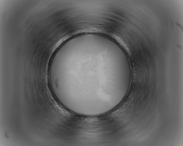 X0000090980845200708301247