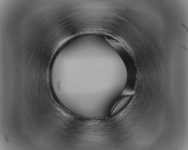 X0000090980846200708301247