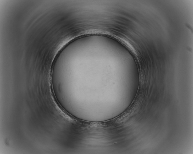 X0000090980847200708301247