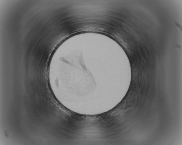 X0000090980848200708301247