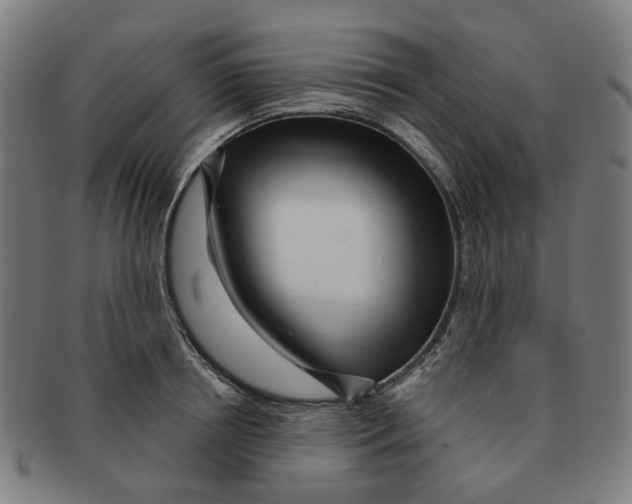 X0000090980850200708301247