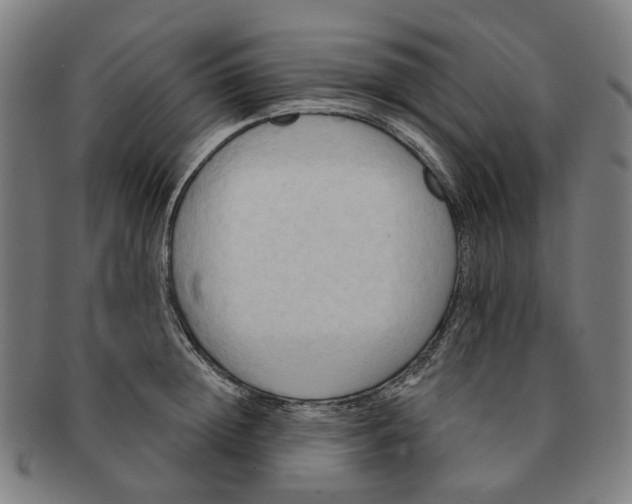 X0000090980852200708301247