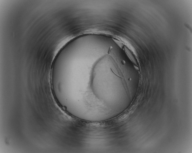 X0000090980855200708301247