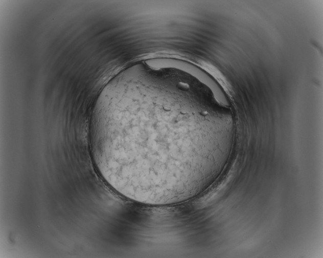 X0000090980857200708301247