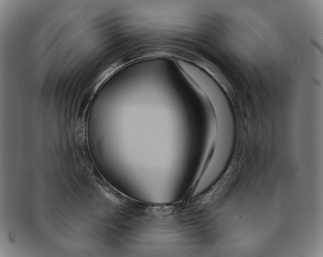 X0000090980858200708301247