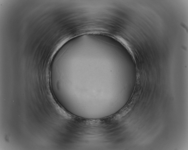 X0000090980859200708301247