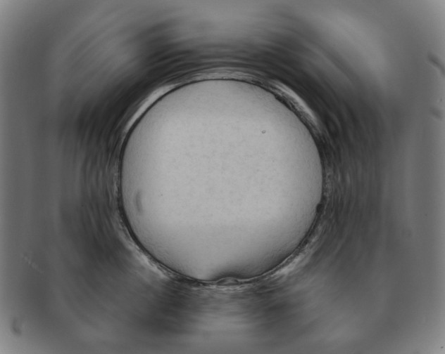 X0000090980860200708301247