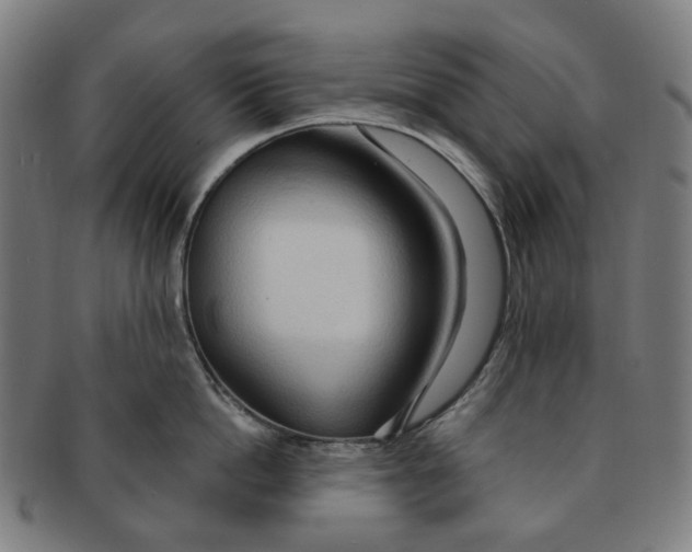X0000090980862200708301247