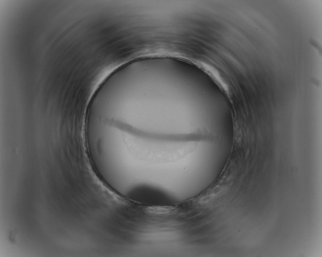 X0000090980863200708301247