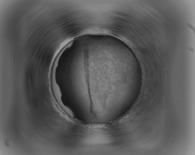 X0000090980864200708301247