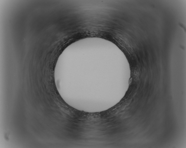 X0000090980865200708301247