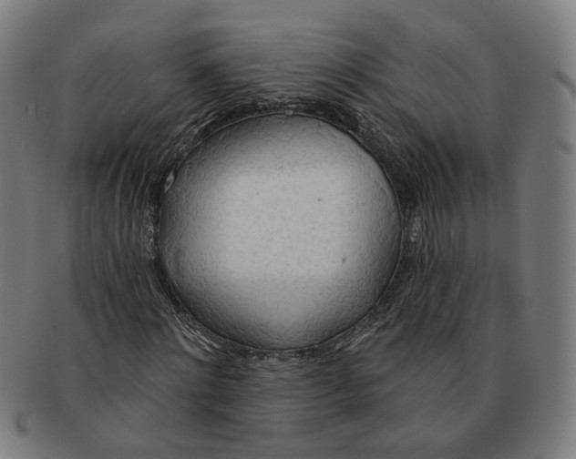 X0000090980868200708301247