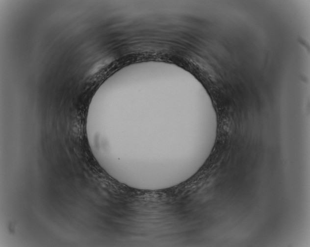 X0000090980869200708301247