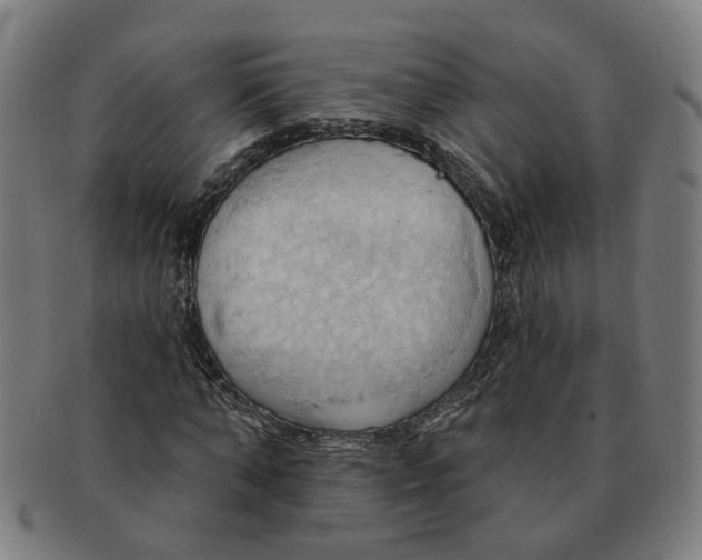 X0000090980870200708301247
