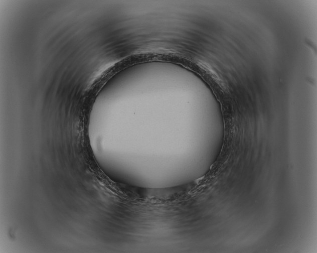 X0000090980872200708301246