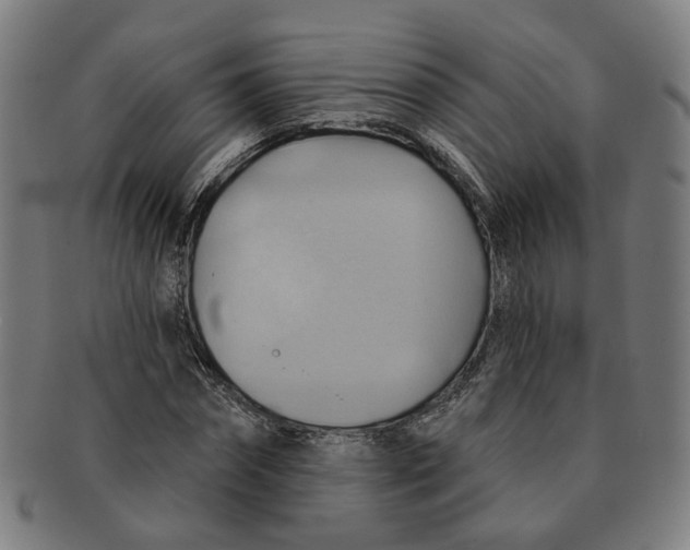 X0000090980874200708301246