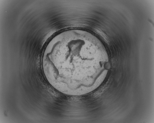 X0000090980875200708301246